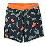 Sterntaler Baby - Jungen Badeshort Kurz Wale Badehose, Marine, 74/80cm