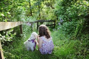 Überlegungen vor der Anschaffung eines Familienhundes.