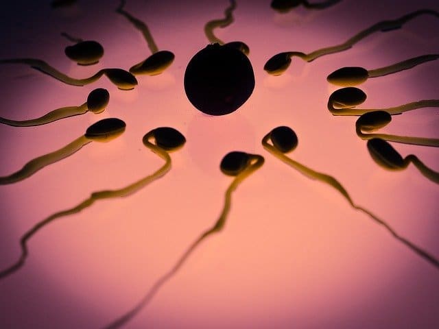 Abbildung von Spermien. Männliche Fruchtbarkeit steigern
