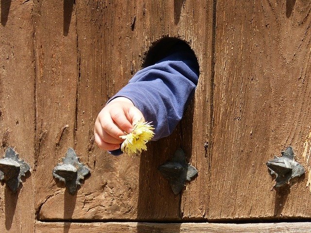 Arm eines Kindes mit Blume: Patenschaft - es gibt viele Möglichkeiten Pate zu werden.