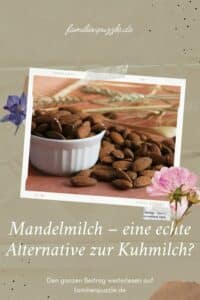 Mandelmilch kaufen. Auf dem Fot: Mandeln.