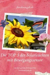Solarleuchten mit Bewegungssensor.