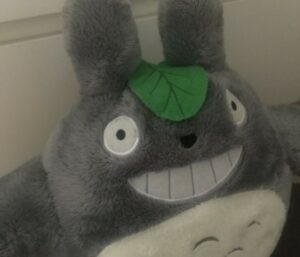 mein nachbar totoro kuscheltier.