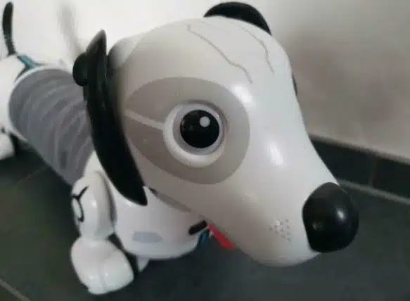 Gerade bei Allergien kann ein Roboterhund auch eine Alternative zum echten Haustier sein.