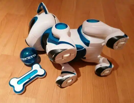 Auf Rollen kann sich dein Roboterhund fortbewegen.