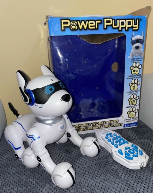 Egal ob Polizei Hunde Roboter oder einfach nur zum Spielen: Der Hunderoboter kann ein echter Freund werden.
