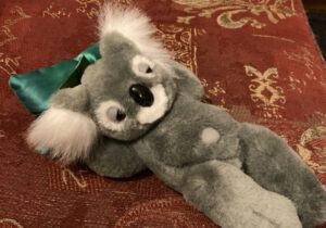 Wir haben uns verschiedene Kuscheltiere in Kissenform genauer angesehen und empfehlenswerte Produkte für Dich ausgewählt.