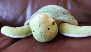Die schönsten Kuscheltiere in Form einer Schildkröte.