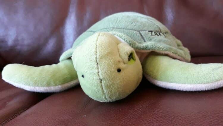 Die schönsten Kuscheltiere in Form einer Schildkröte.