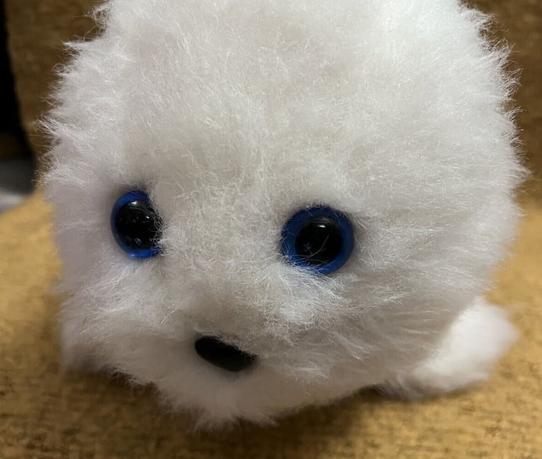 Ein Kuscheltier in Form einer Robbe hat viele Vorteile. Ein Vorteil ist, dass Robben sehr weich und kuschelig sind und sich daher gut zum Knuddeln und Kuscheln eignen.