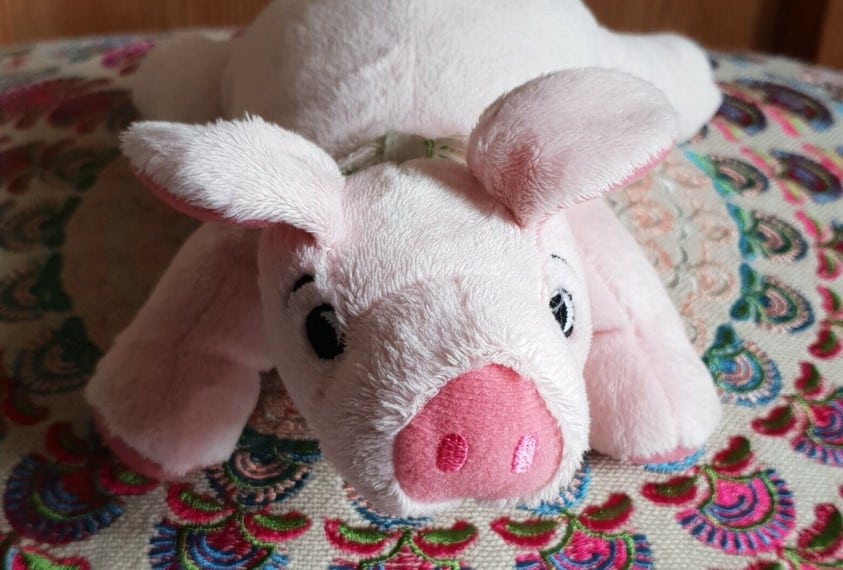 Schweinchen Plüschtiere sind ein tolles Geschenk für Kinder, weil sie kuschelig und weich sind.