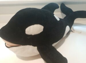 Wir haben uns verschiedene Kuscheltier-Wale genauer angesehen und empfehlenswerte Produkte für Dich ausgewählt.
