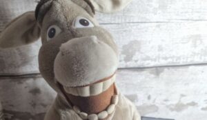 6 Esel-Kuscheltiere, die jeder lieben wird