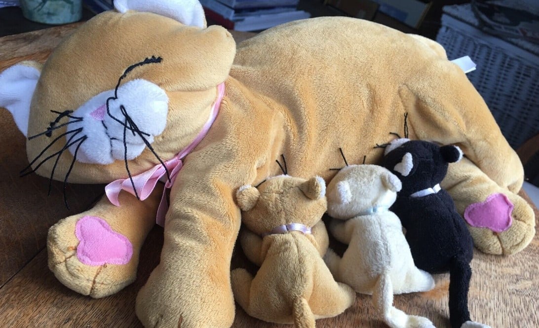 Die 6 süßesten Kuscheltier-Katzen für deine Sammlung