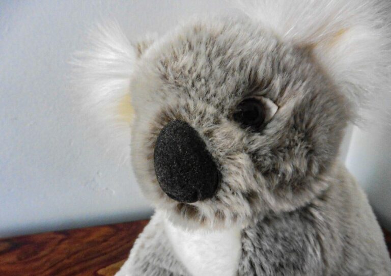 Die 6 süßesten Koala Kuscheltiere: Ein Muss für jeden Kuschelfan