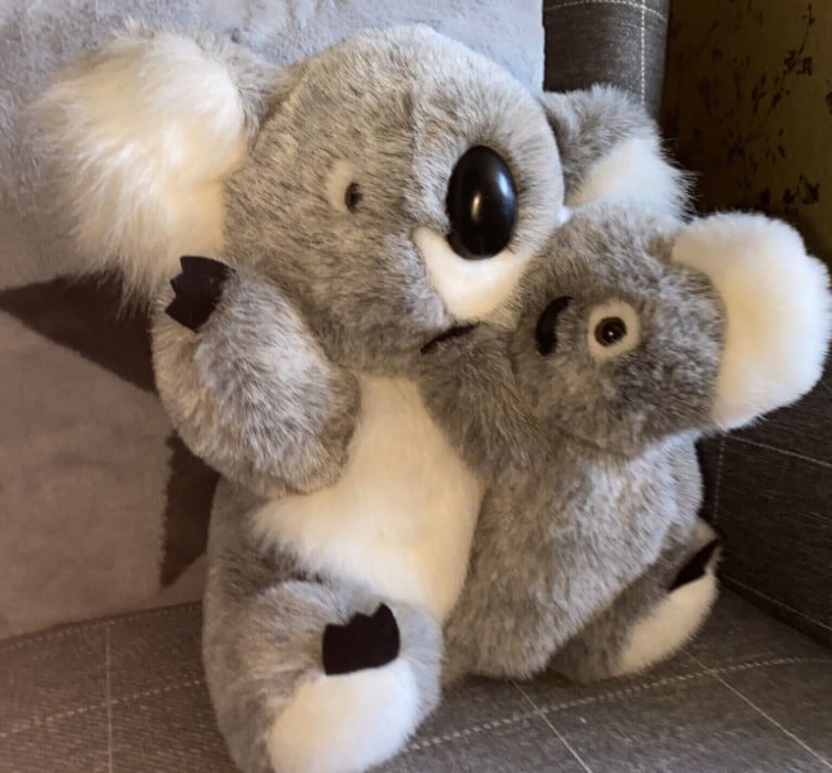 Die 6 süßesten Koala Kuscheltiere: Ein Muss für jeden Kuschelfan