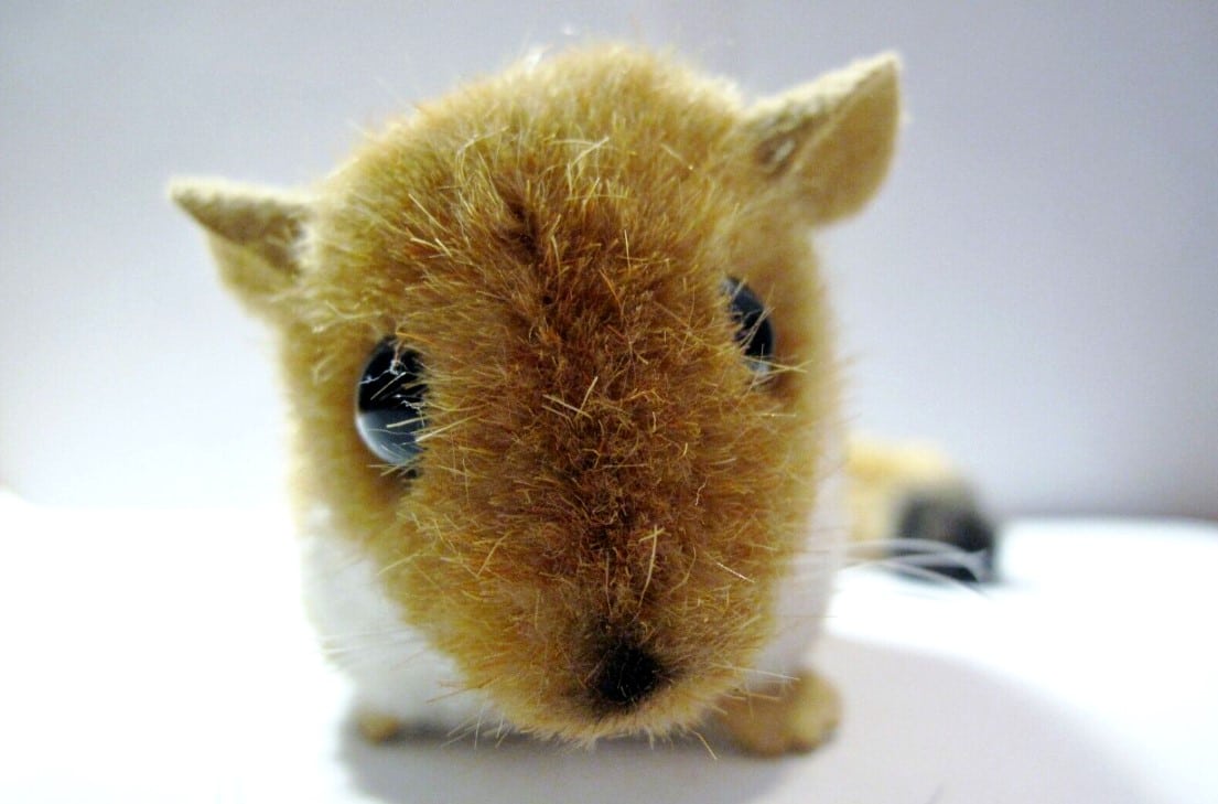 6 Maus-Kuscheltiere, die jedes Kind haben sollte