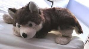 6 Wolf-Kuscheltiere als Geschenk - ein Lächeln auf jedes Gesicht!