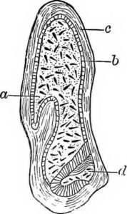 Welche Gegenstände sind umweltfreundlich?