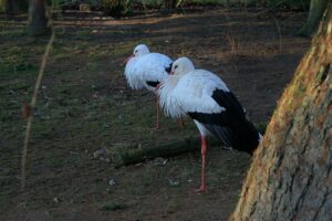 Wünschst du dir ein Kind und möchtest wissen, wie du deine Chancen auf eine erfolgreiche Schwangerschaft erhöhen kannst? In diesem Artikel beantworten wir dir die wichtigsten Fragen rund um das Thema Kinderwunsch.