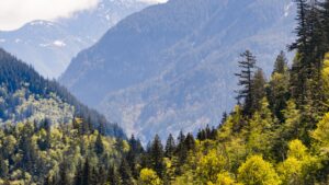 Welche Putzmittel sind umweltfreundlich?