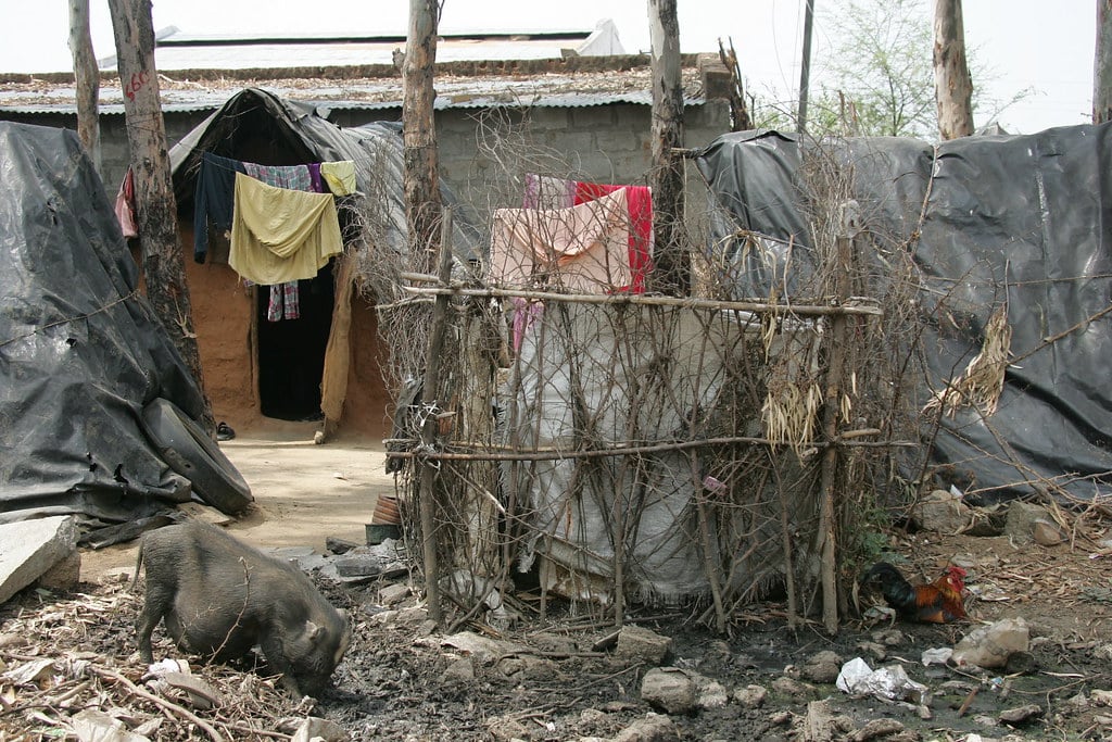 Was ist das gesündeste Fleisch auf der Welt?