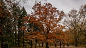 (Spielzeug) Call Of Duty Figur: Die 6 besten Produkte