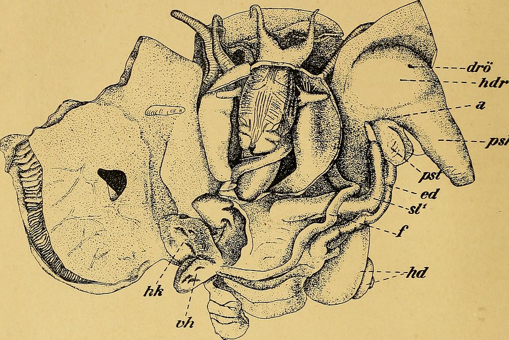 20218064954 a06e313a98 b