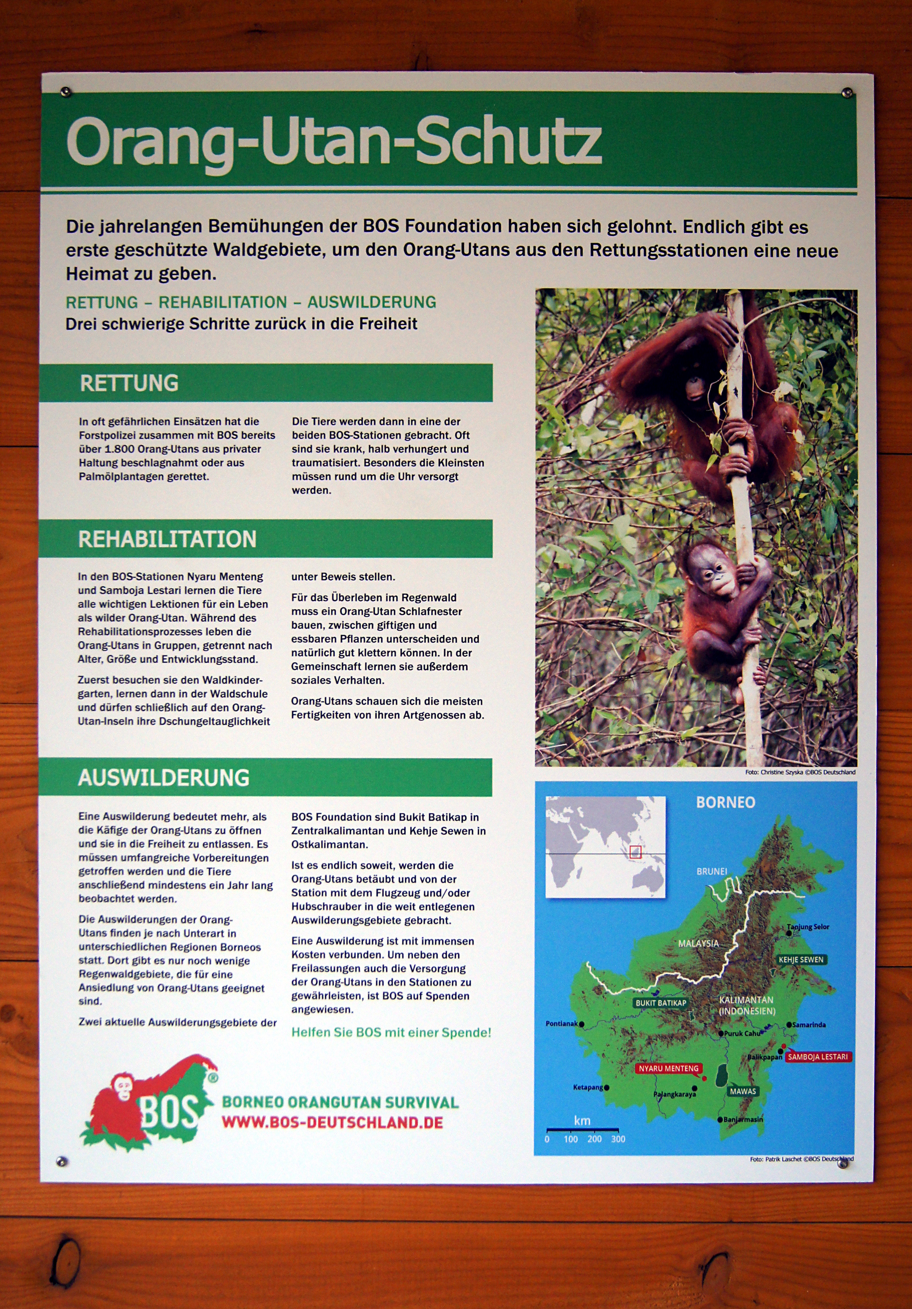 Ausstellung im Zoo Rostock 25C3 25BCber die BOS Aktivit 25C3 25A4ten