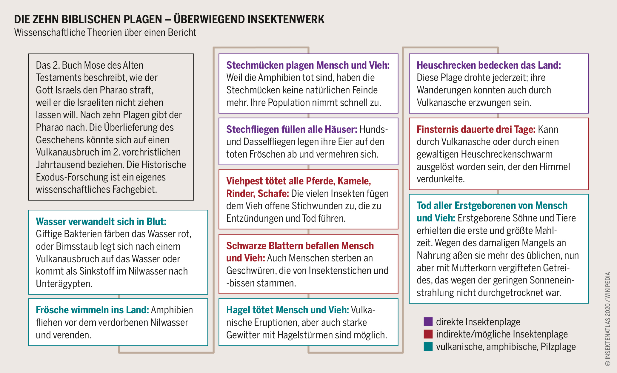 ᐅ Was sind mögliche Beispiele für Nachhaltigkeit? im Jahr 2025