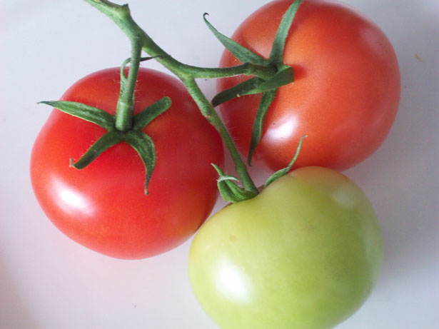 tomatoes 1356163890pIg