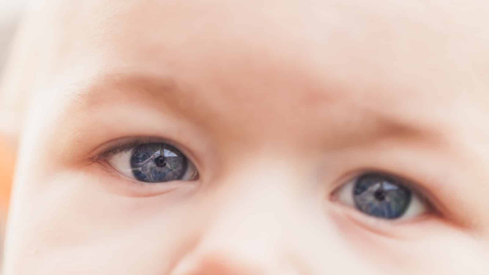 Greifspielzeug Baby