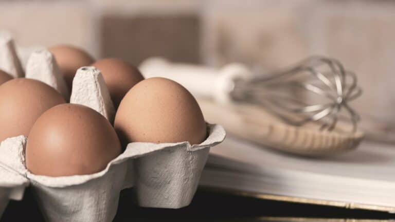 Sind Eier nachhaltig?