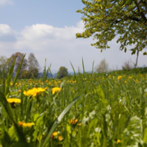 Entdecke dein neues Lieblingsthema – Wie du mit Freude und Leichtigkeit Deutsch lernen kannst!