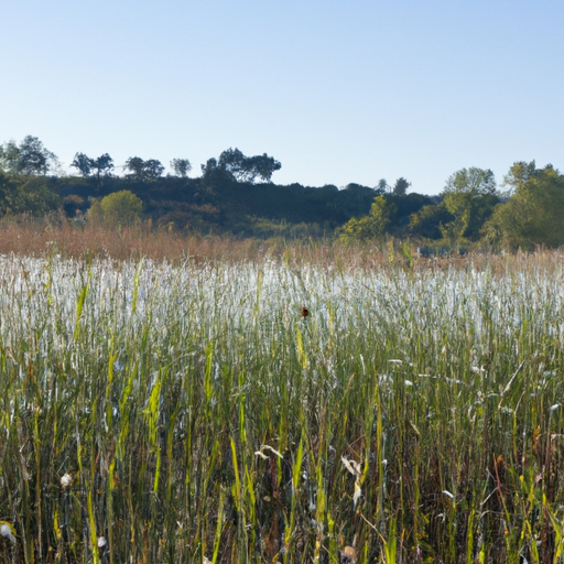 Wild and Protected: Discover the Natural Wonders of Germany’s Endangered Wild Herbs!