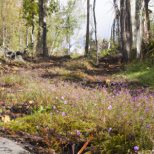 Sehsensationelle Heilung: Die kraftvollsten Wildkräuter gegen Augenentzündungen!