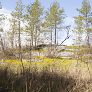 Freie Wildbahn: Entdecke die besten Wildkräuter, die du einfach nur wachsen lassen musst!