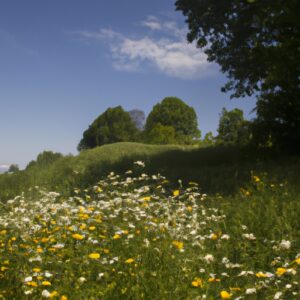 Wildkräuter im Februar: Frische Grünlust!