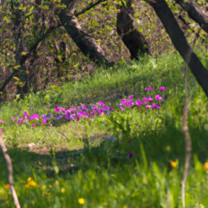 Bunte Wildkräuter in München entdecken!